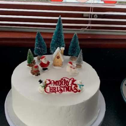 Merry Christmas Sign