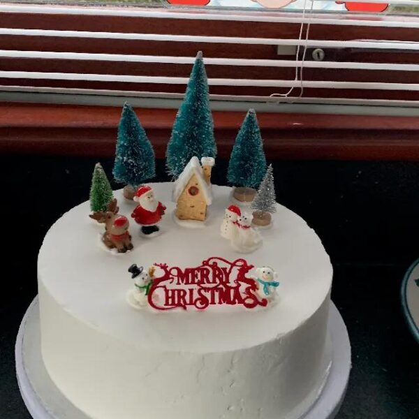 Merry Christmas Sign