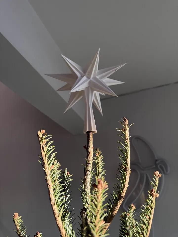 Christmas tree star