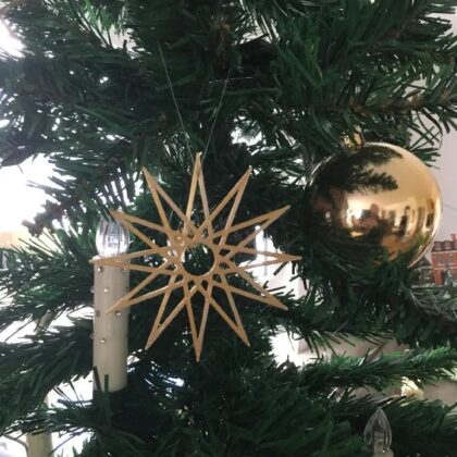 Weihnachsstern - christmas star