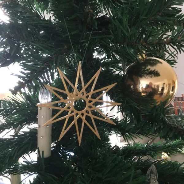 Christmas star