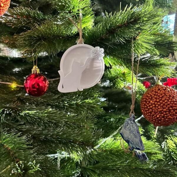 Snow and Cat