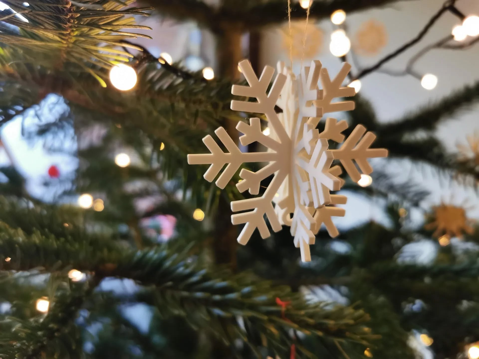 Snowflake Christmas Ornament 9 (BioPlastic) - Afbeelding 5